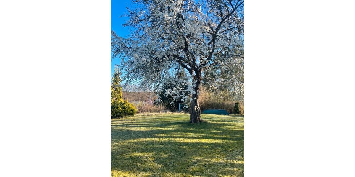 Bungalow Wittenförden - 1 Zimmer, 22 m&sup2;, 120.000&euro; | Angebot:26285328