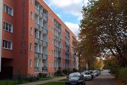 Sanierte 3-Raum Wohnung - bezugsfertig zum 01.03.2026! 3 zimmer