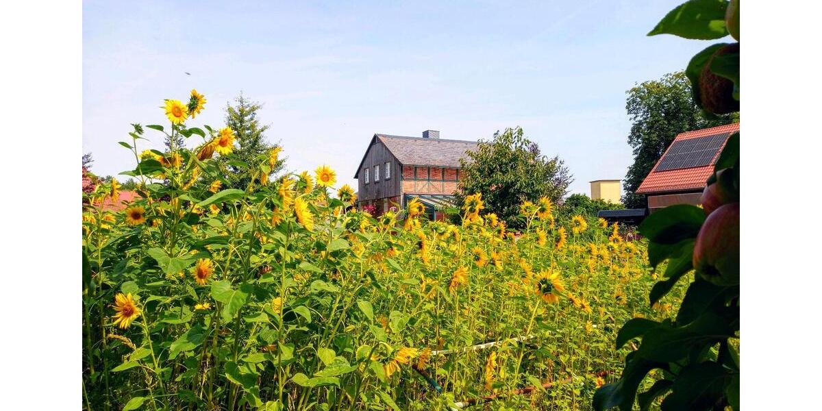 Hof mit Scheune und Saunahaus - provisionsfrei - 5 zimmer