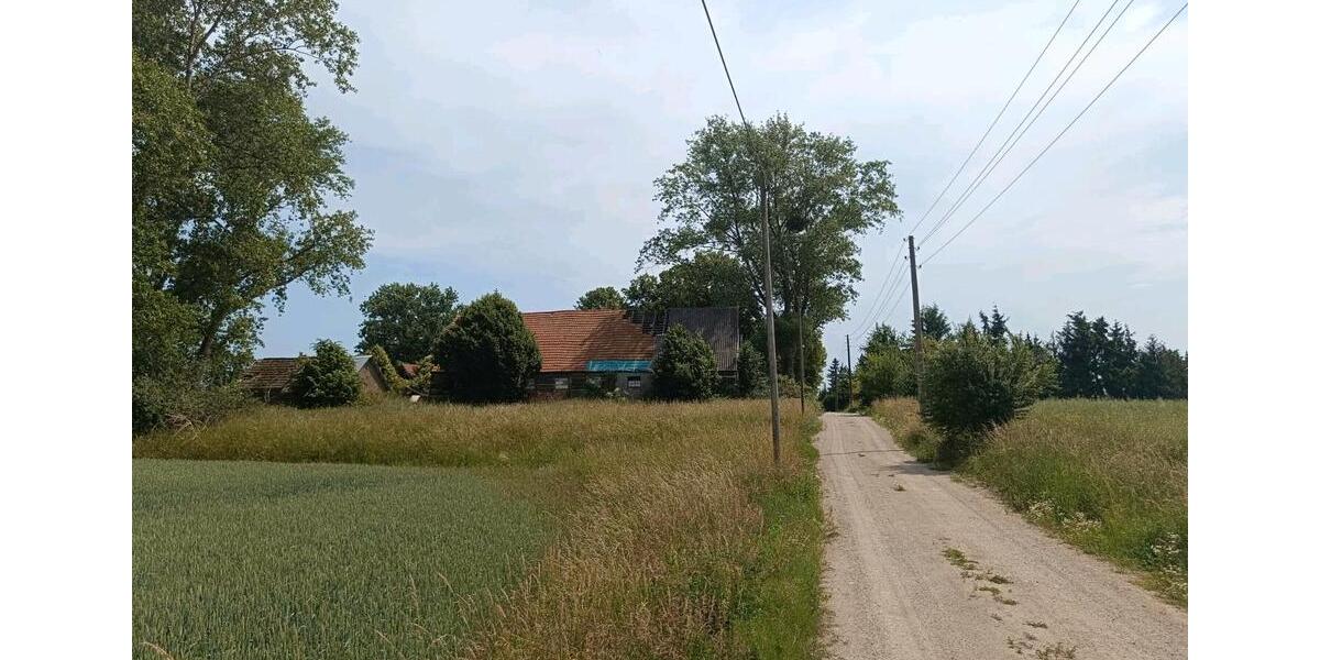 Bauernhaus, Landhaus Domsühl - 4 Zimmer, 100 m&sup2;, 58.000&euro; | Angebot:25422415