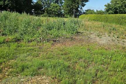 Grundstück zu verkaufen in Zickhusen 180.000 € 2500 m²