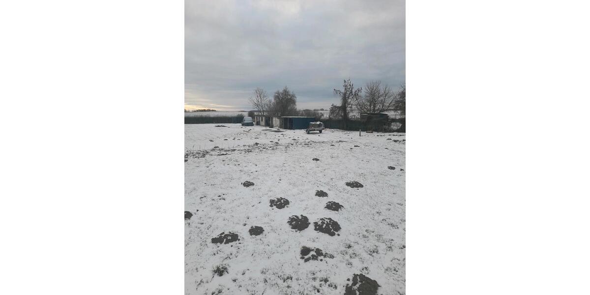 Einfamilienhaus Brüel - 4 Zimmer, 230 m&sup2;, 300.000&euro; | Angebot:24787988