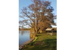 Bungalow Warin - 2 Zimmer, 50 m&sup2;, 150.000&euro; | Angebot:27246877