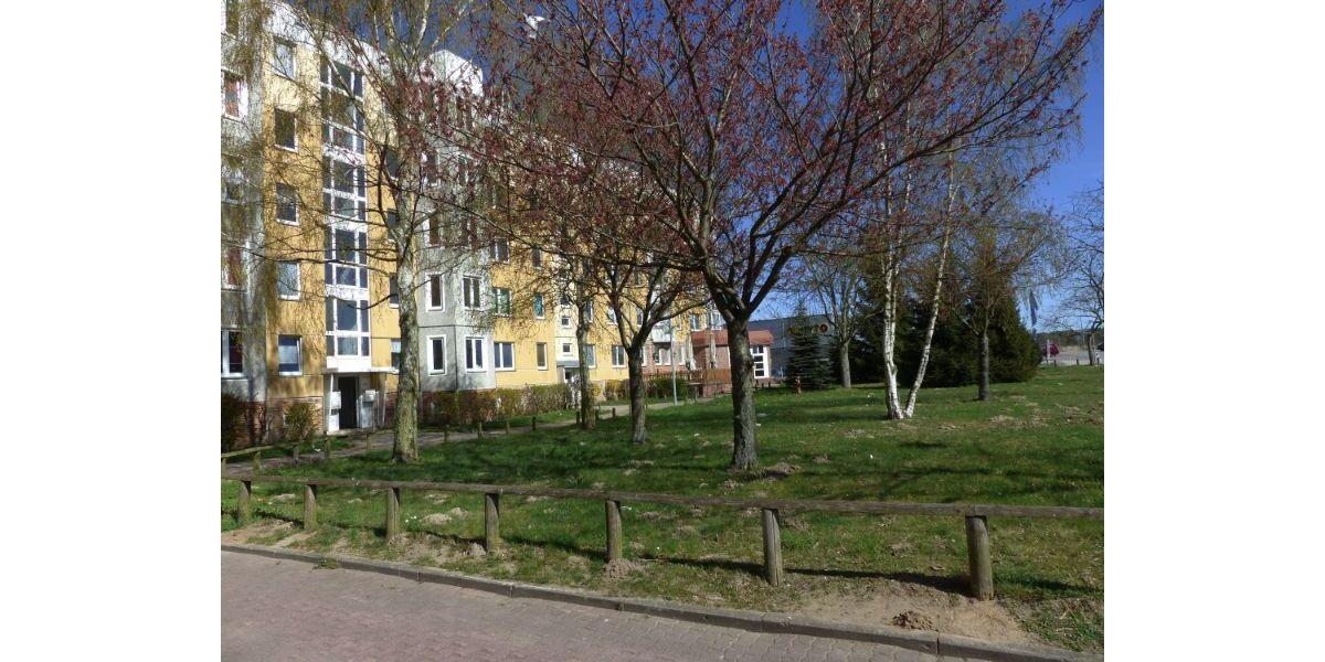 Etagenwohnung Schwerin Gartenstadt - 3 Zimmer, 58 m&sup2;, 334&euro; | Angebot:25144523