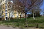 Etagenwohnung Schwerin Gartenstadt - 3 Zimmer, 58 m&sup2;, 334&euro; | Angebot:25144523
