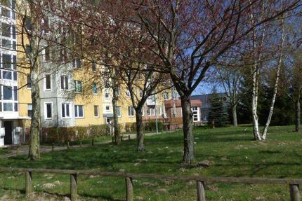 Wohnung Schwerin Gartenstadt - 3 Zimmer, 58 m&sup2;, 334&euro; | Angebot:25144523