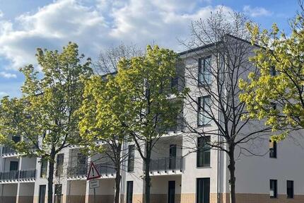 Hochwertige 2-Raum-Wohnung mit zwei Terrassen in Krebsförden