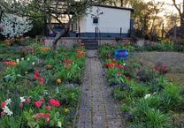 schönes Gartenhaus zu vermieten