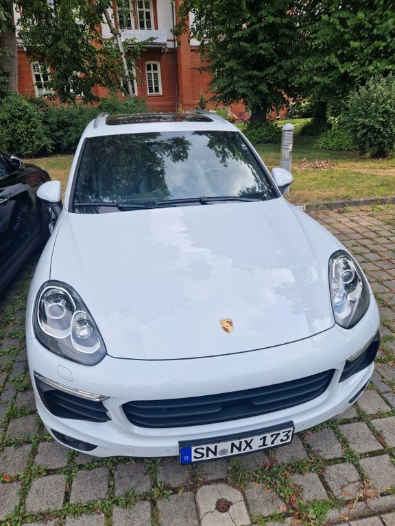 Cayenne