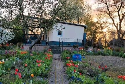 Bungalow Immobilie zum Verkauf 1 zimmer