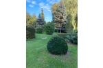 Mehrfamilienhaus, Wohnhaus Warin - 104.000&euro; | Angebot:27120951