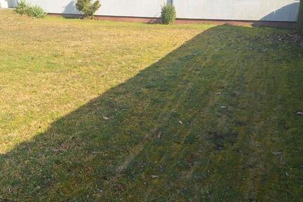 Wohnung Neustadt-Glewe Glewe - 1 Zimmer, 20 m&sup2;, 320&euro; | Angebot:25993766