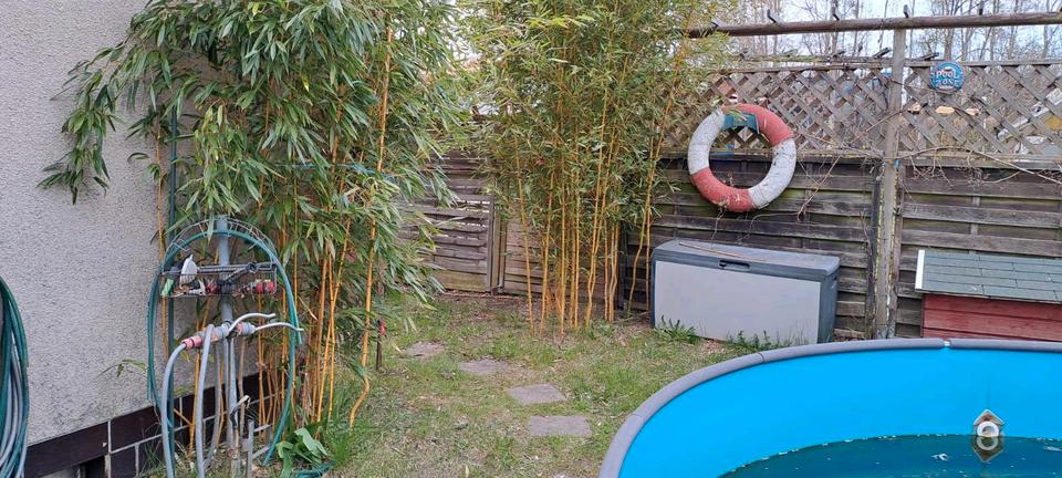 Grundstück Hagenow - 8.000&euro; | Angebot:25303633