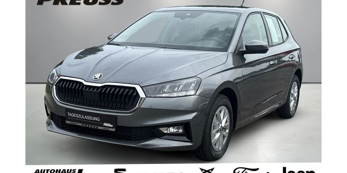 Skoda Fabia 2.000 km 19.980 &euro; Wismar 23966