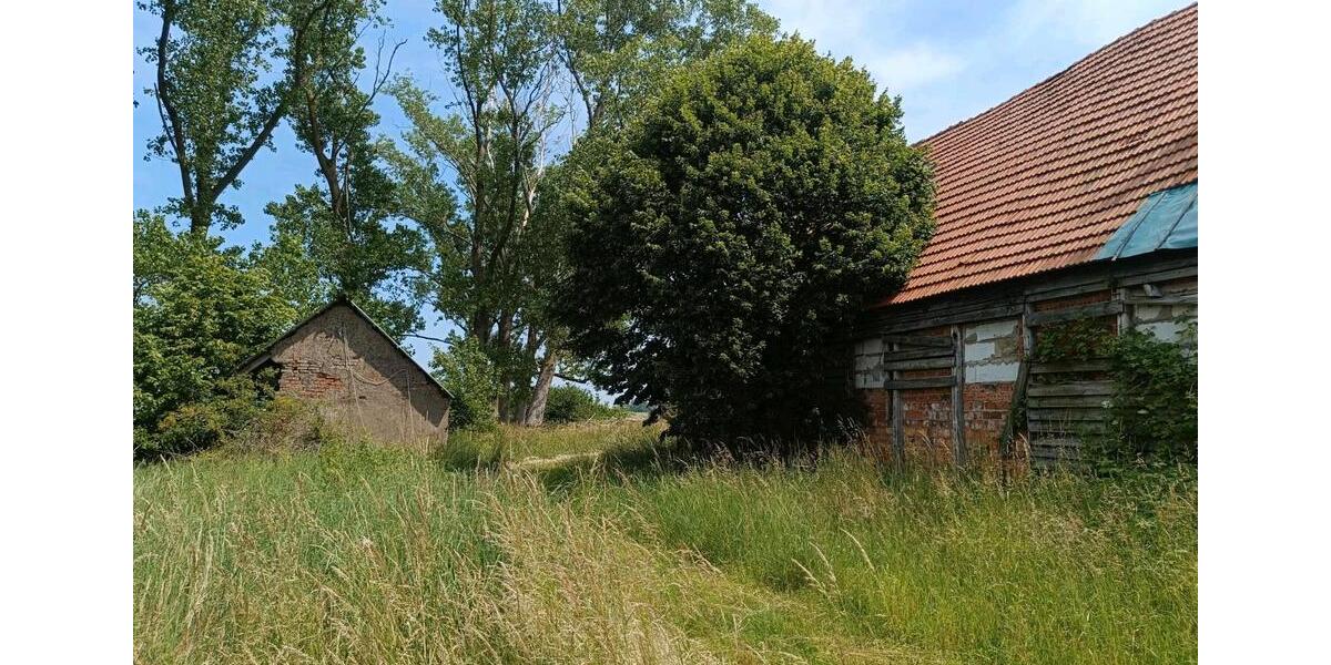 Bauernhaus, Landhaus Domsühl - 4 Zimmer, 100 m&sup2;, 58.000&euro; | Angebot:25422415