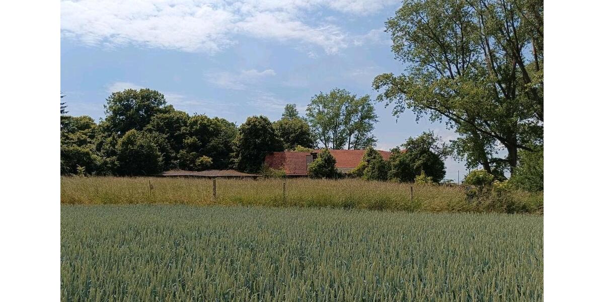 Bauernhaus, Landhaus Domsühl - 4 Zimmer, 100 m&sup2;, 58.000&euro; | Angebot:25422415