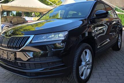 Skoda Karoq 115.885 km 18.950 &euro; Rehna 19217