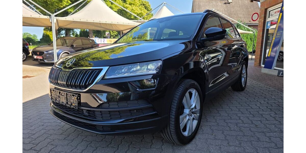Skoda Karoq 115.885 km 18.950 &euro; Rehna 19217