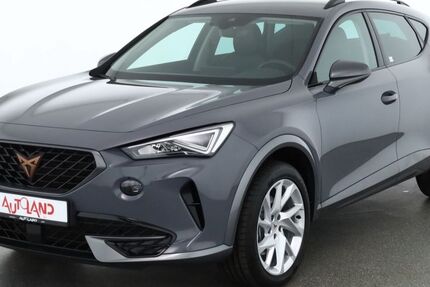 Cupra Formentor 44.433 km 24.990 &euro; Schwerin 19061