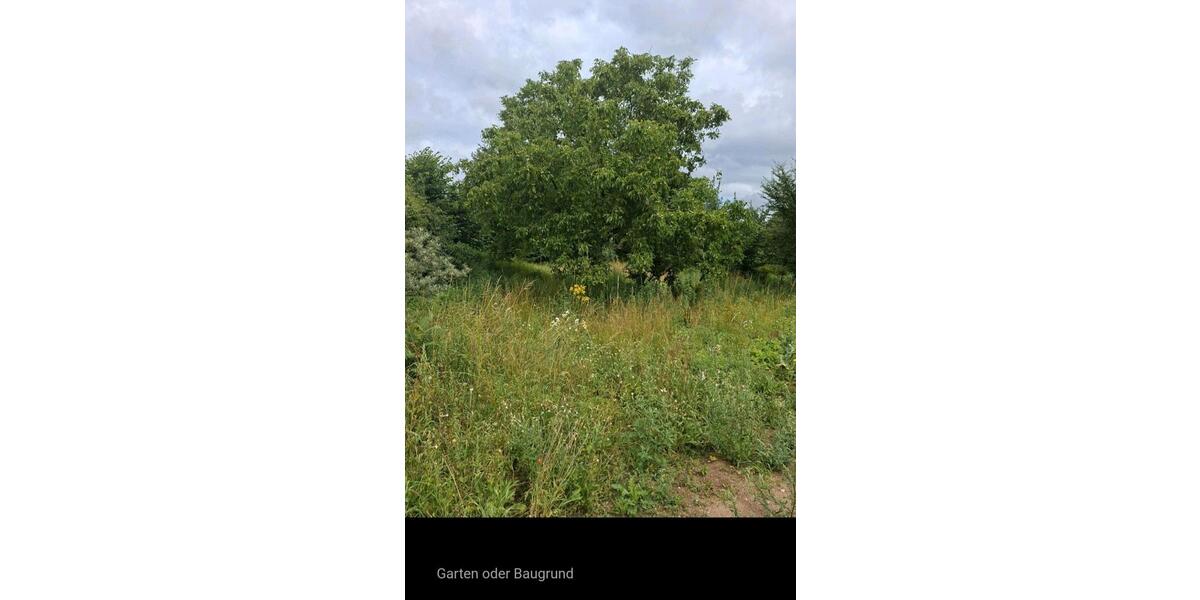 selbst bewohnen oder Ferienhaus - am Holzendorfer See 7 zimmer