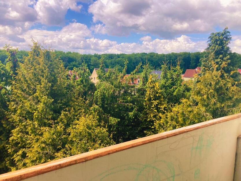 Sonnige 2.5-Raum-DG-Wohnung in Bad Kleinen mit Balkon