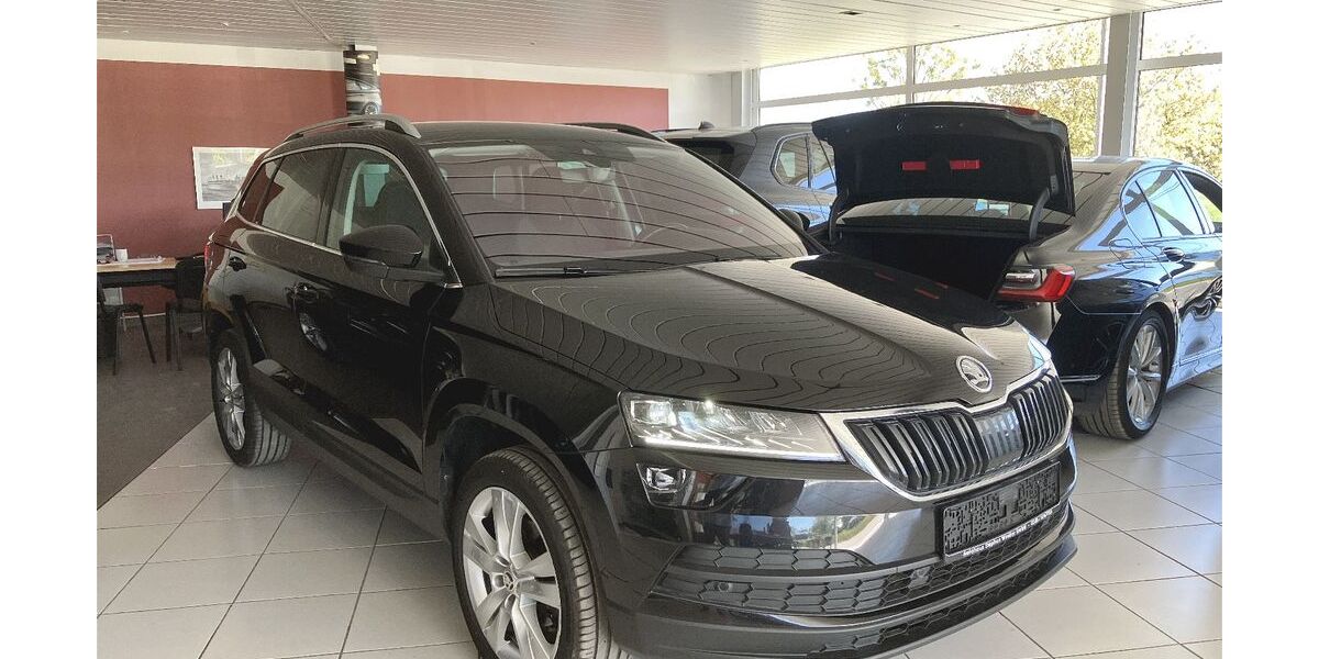 Skoda Karoq 138.150 km 19.745 &euro; Schwerin 19061