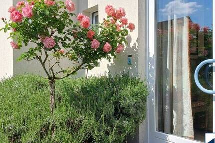 Haus Raben Steinfeld - 5 Zimmer, 159 m&sup2;, 449.000&euro; | Angebot:26904378