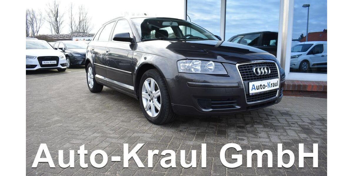 Audi A3 187.164 km 4.599 &euro; Rehna 19217