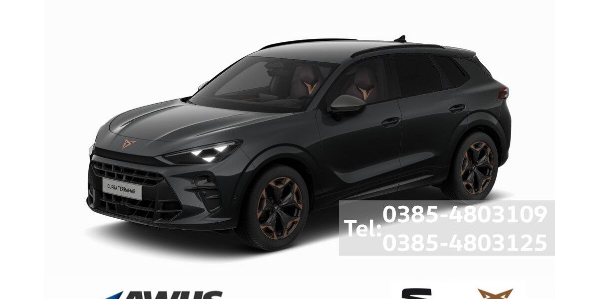 Cupra Terramar 12.700 km 41.990 &euro; Schwerin 19057