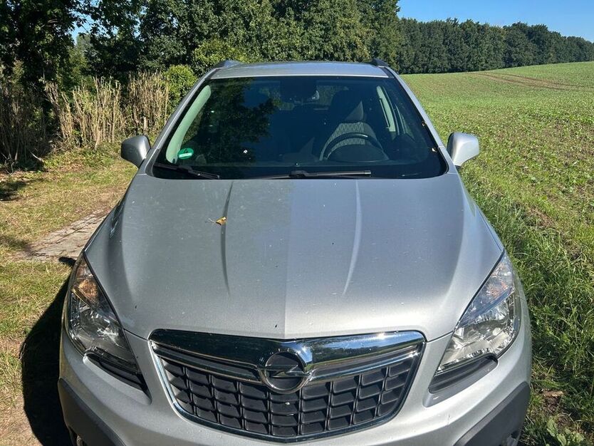 Mokka