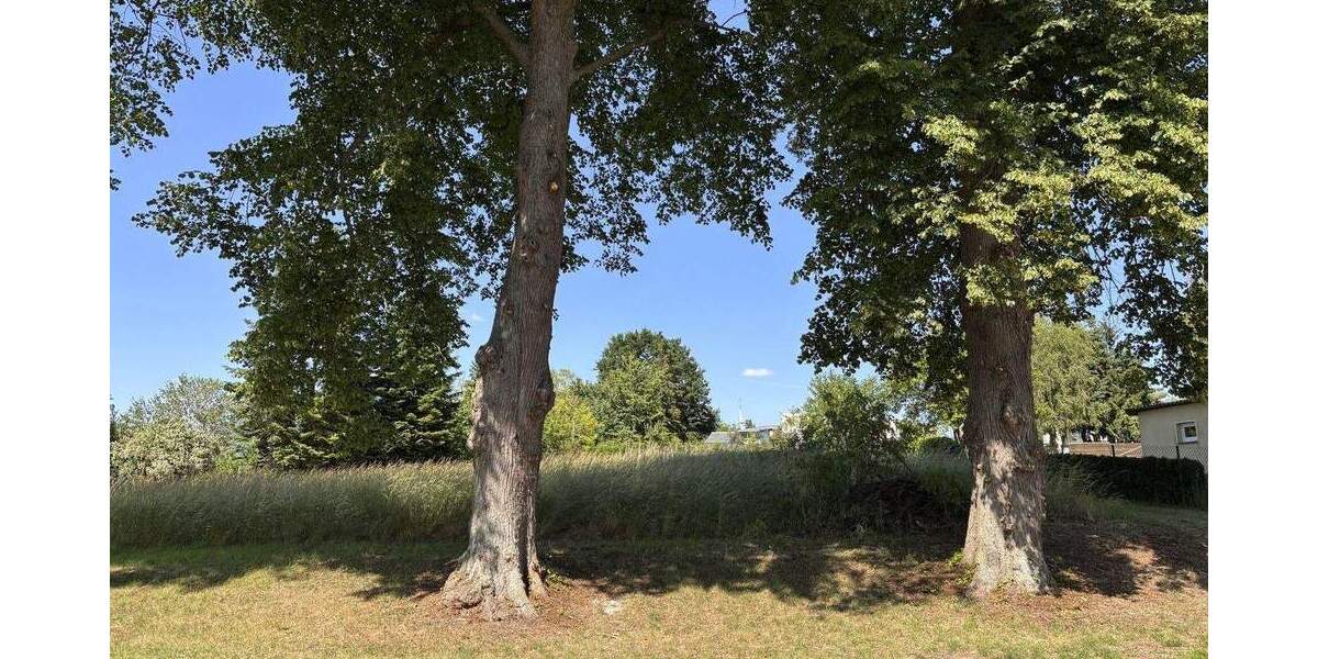 Grundstück Badow Badow - 55.000&euro; | Angebot:26820708