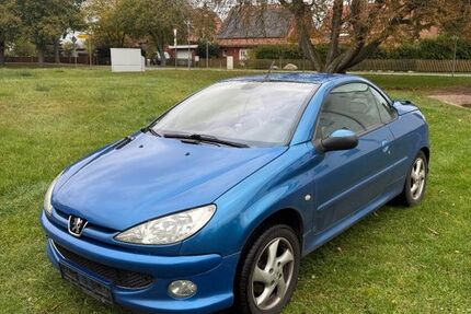 Peugeot 206 210.000 km 999 &euro; Crivitz 19089