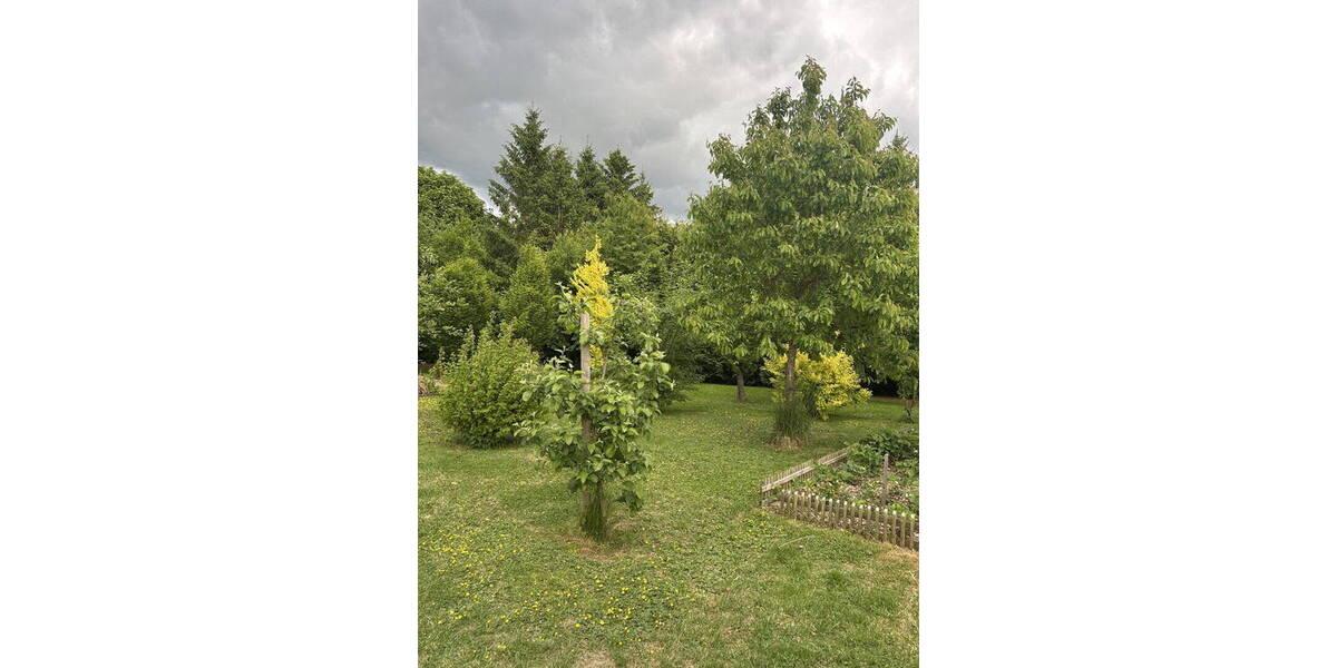 Einfamilienhaus Stöllnitz Stöllnitz - 2 Zimmer, 100 m&sup2;, 325.000&euro; | Angebot:26470976