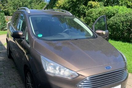 Ford C-Max 99.800 km 8.800 &euro; Dümmer 19073