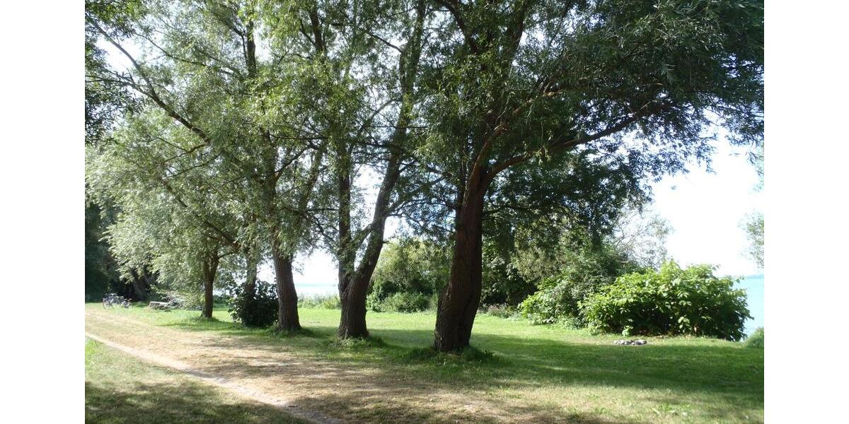 Einfamilienhaus Leezen - 5.5 Zimmer, 129 m&sup2;, 1.495&euro; | Angebot:26547922
