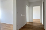 Repräsentatives Wohnen am Schlossgarten: Frisch renoviert & voller Wärme - Etagenwohnung Schwerin Feldstadt | Angebot:26828118