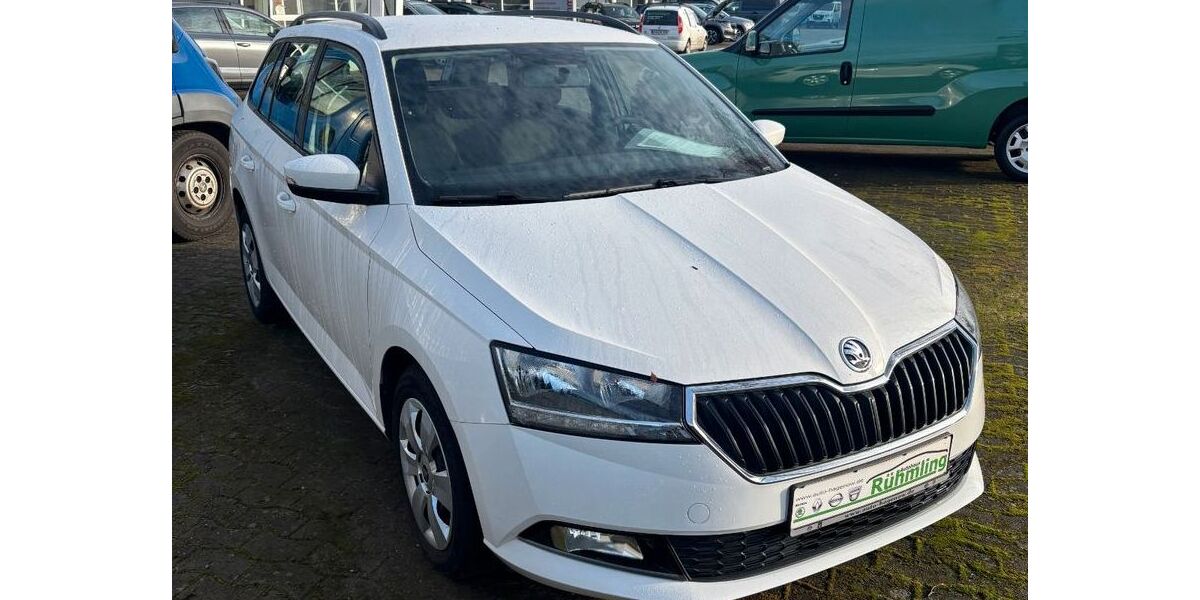 Skoda Fabia 79.307 km 9.950 &euro; Hagenow 19230