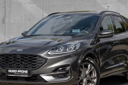 Ford Kuga 118.700 km 17.300 € Schwerin 19061