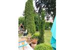 Bungalow Gadebusch - 1 Zimmer, 40 m&sup2;, 110.000&euro; | Angebot:27273592