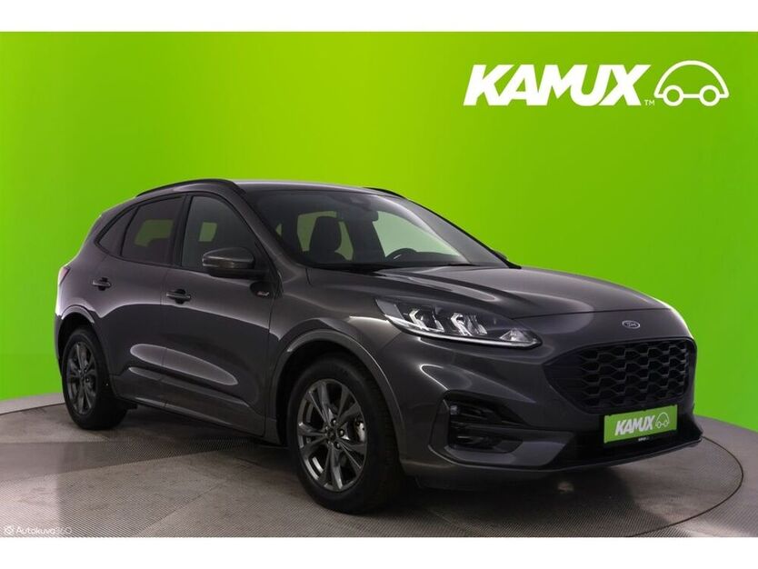 Kuga