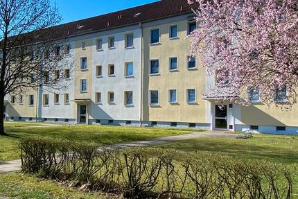 Wohnung Hagenow - 2.5 Zimmer, 59 m&sup2;, 380&euro; | Angebot:25511272