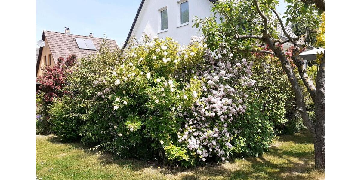 Einfamilienhaus Schwerin Friedrichsthal - 4 Zimmer, 104 m&sup2;, 335.000&euro; | Angebot:27298059