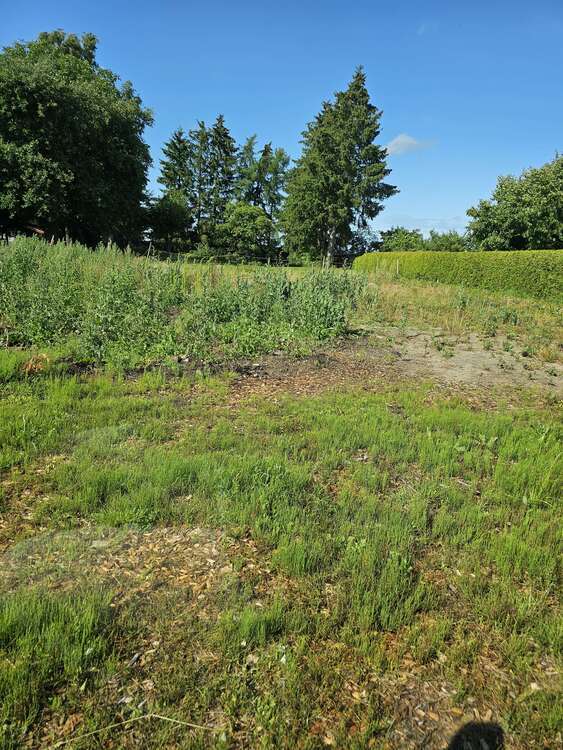 Grundstück zu verkaufen in Zickhusen 180.000 € 2500 m²