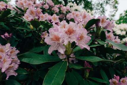 Grundstück zu verkaufen in Schwerin 150.000 € 2031 m² zimmer