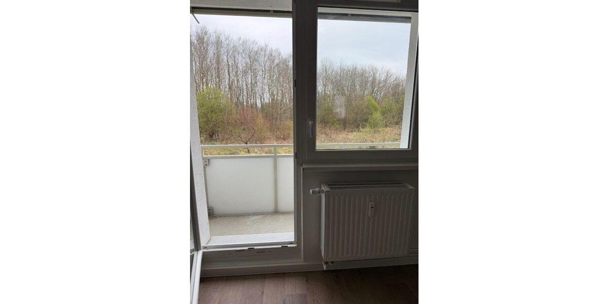 Etagenwohnung Schwerin Gartenstadt - 2 Zimmer, 47 m&sup2;, 349&euro; | Angebot:26142817