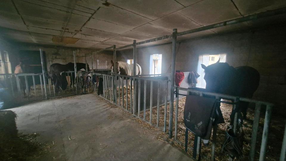 Etagenwohnung Gadebusch - 1 Zimmer, 92 m&sup2;, 850&euro; | Angebot:24741919