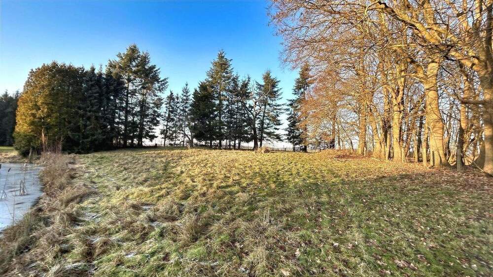 Doppelhaushälfte Gottesgabe Klein Welzin - 6 Zimmer, 160 m&sup2;, 250.000&euro; | Angebot:25670085