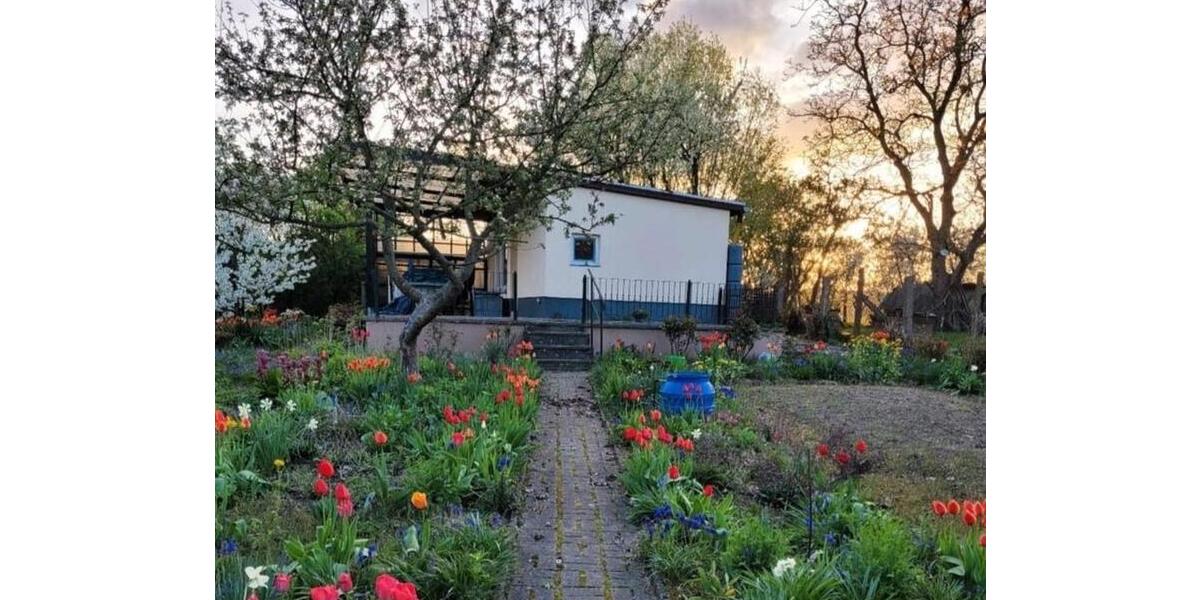 Bungalow Lübstorf - 1 Zimmer, 25 m&sup2;, 36.900&euro; | Angebot:26591248