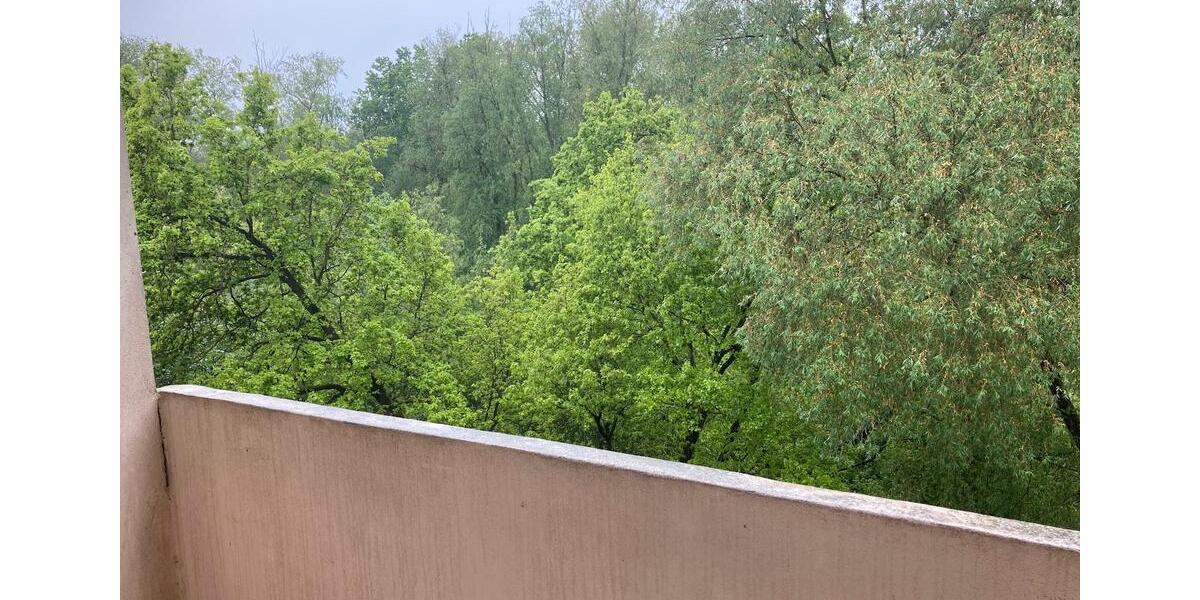 Etagenwohnung Hagenow - 3 Zimmer, 61 m&sup2;, 375&euro; | Angebot:26619097
