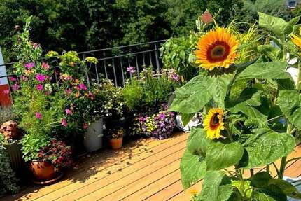 Wohnung Schwerin Gartenstadt - 3 Zimmer, 129 m&sup2;, 535.000&euro; | Angebot:25625732